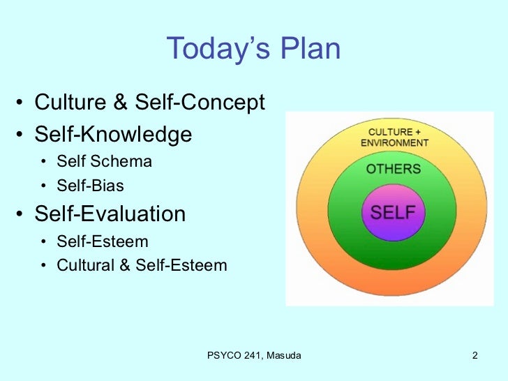 self concept self awareness and self schemas In my assessment i shall include aspects that influenced the brothers self concept factors that influence person self concept sociology essay self -image. self concept self awareness and self schemas In my assessment i shall include aspects that influenced the brothers self concept factors that influence person self concept sociology essay self -image.